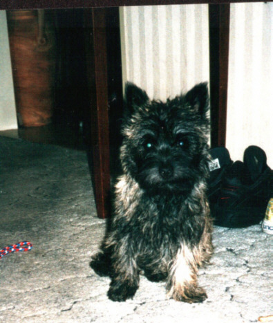 01Marbella01_01.jpg