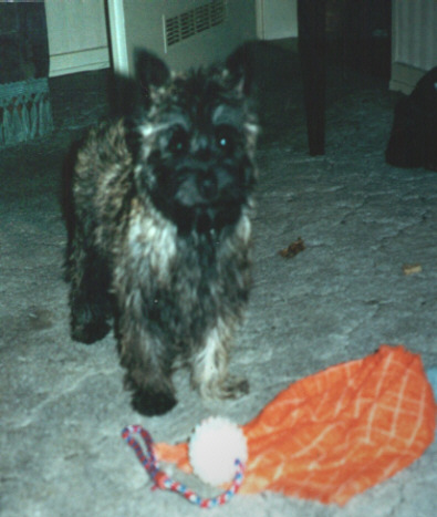 02Marbella02_01.jpg