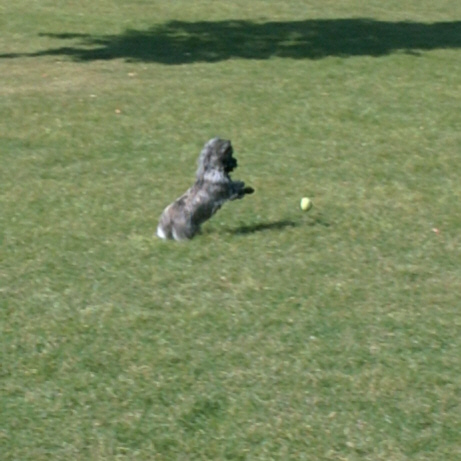 08Marbella06_02.jpg