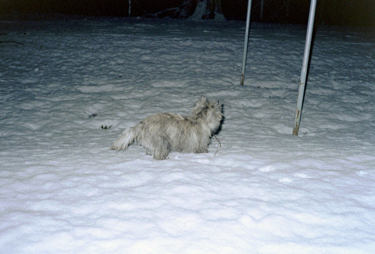 10Marbella03_03.jpg