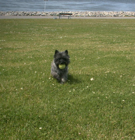 16Marbella08_04.jpg