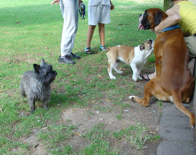 24Mabella_Filou_Paul_07_05.jpg