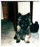 01Marbella01_01_1.jpg
