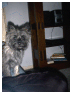 05Marbella02_02_5.jpg