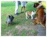 24Mabella_Filou_Paul_07_05_24.jpg