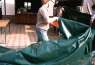 Bild 01