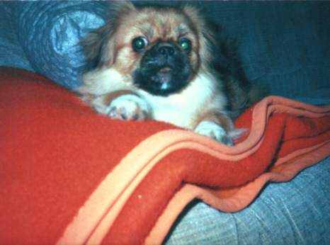 Bild 01