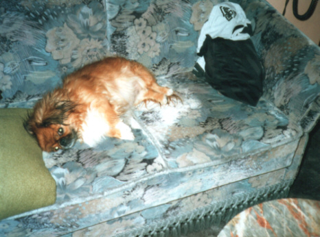 Bild 15