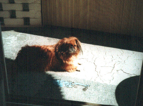 Bild 17
