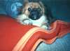 Bild 01