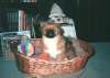 Bild 02