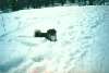 Bild 05