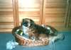Bild 07