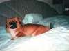Bild 09