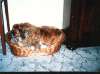 Bild 13