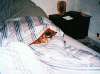 Bild 16