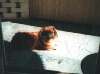 Bild 17