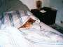 Bild 04