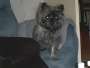 Bild 05